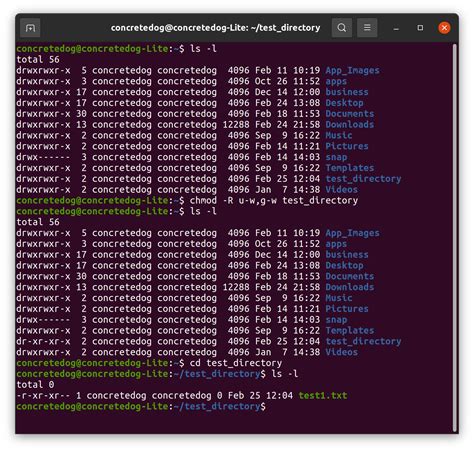 How to change directory permissions in Linux .